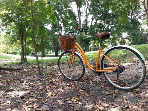 Vélo dans le parc — Photo
