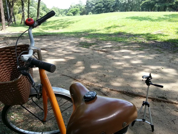 Fiets in park — Stockfoto