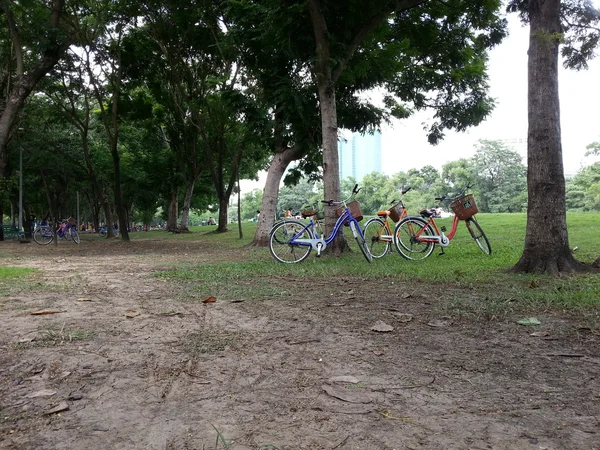 Sepeda di taman — Stok Foto