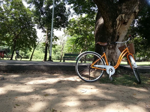 Cykel i park — Stockfoto