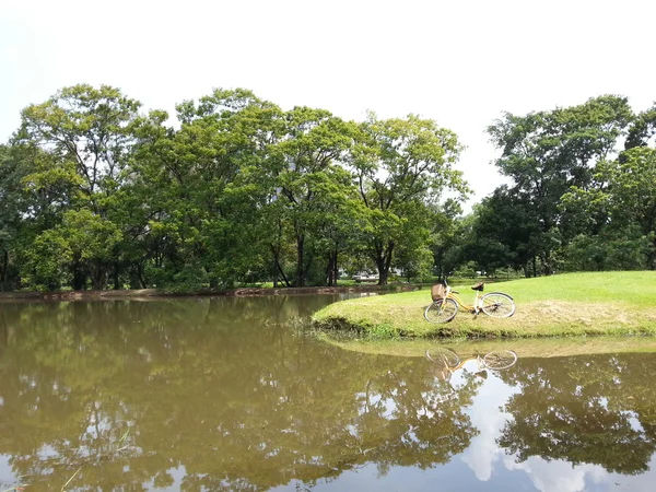 Cykel i park — Stockfoto