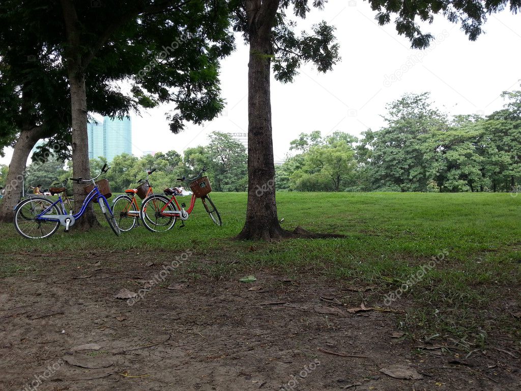 Bicycle in park