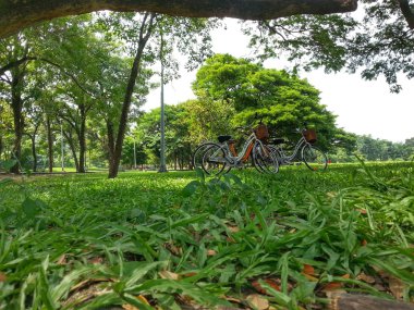 Bisiklet Park H.D.R.