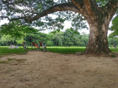 Bisiklet Park H.D.R.