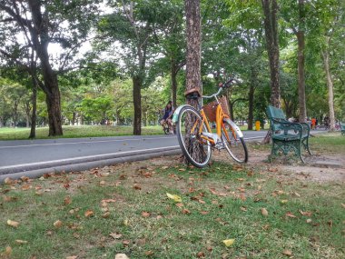 Bisiklet Park H.D.R.