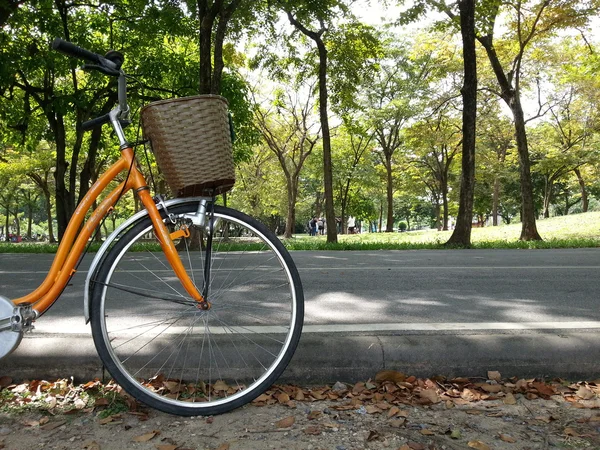 Cykel i park — Stockfoto