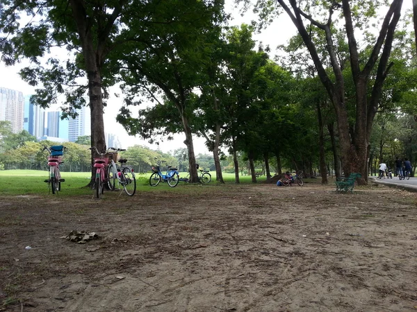 Bicicleta en el parque — Foto de Stock