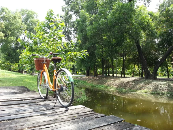 公園で自転車 — ストック写真