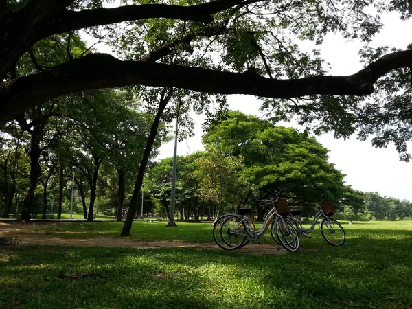 公園で自転車 — ストック写真