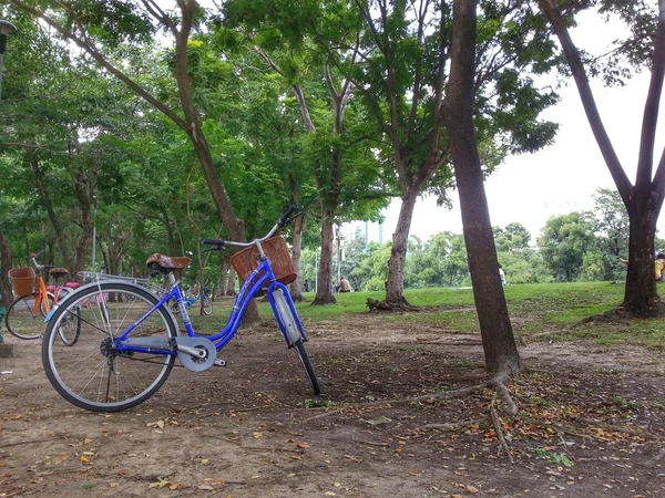 Велосипед в парке H.D.R . — стоковое фото