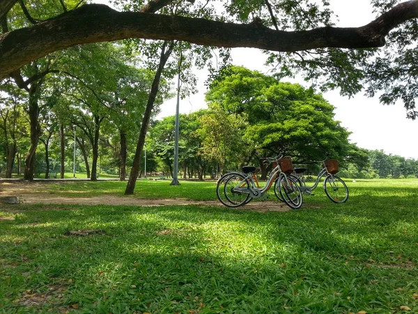 Fiets in park H.D.R. — Stockfoto