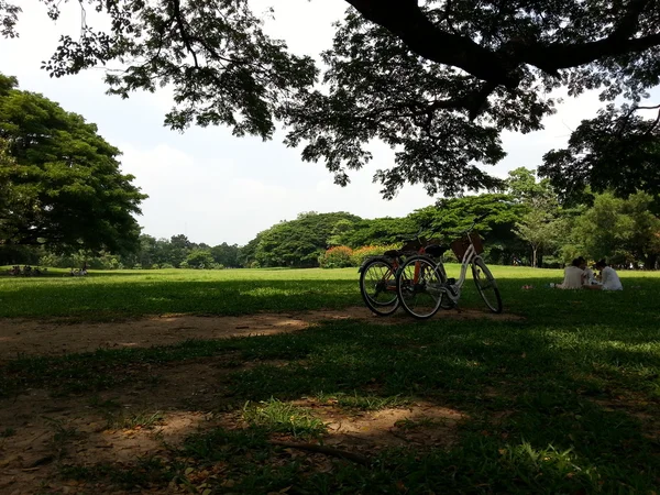 Ποδήλατο στο πάρκο — Φωτογραφία Αρχείου