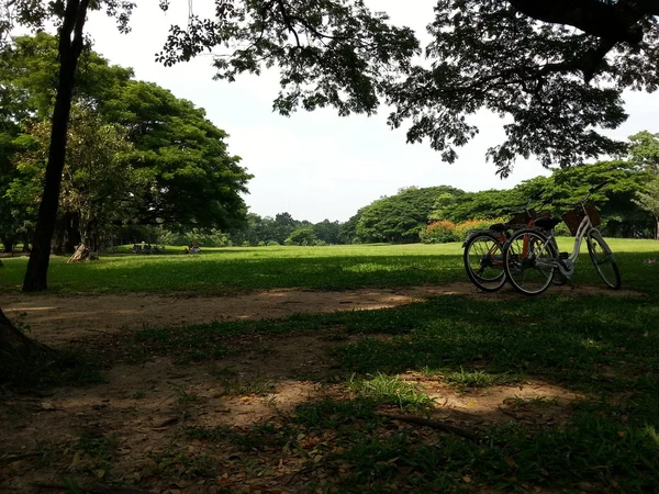 Cykel i park — Stockfoto