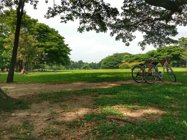 Bicicleta en el parque H.D.R. . —  Fotos de Stock