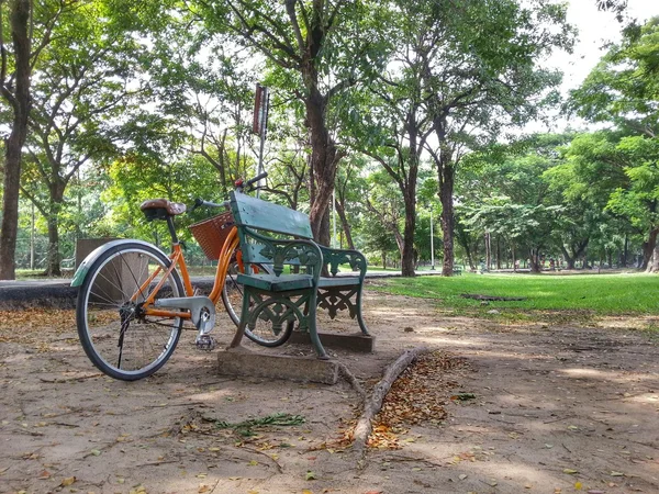 Fiets in park H.D.R. — Stockfoto