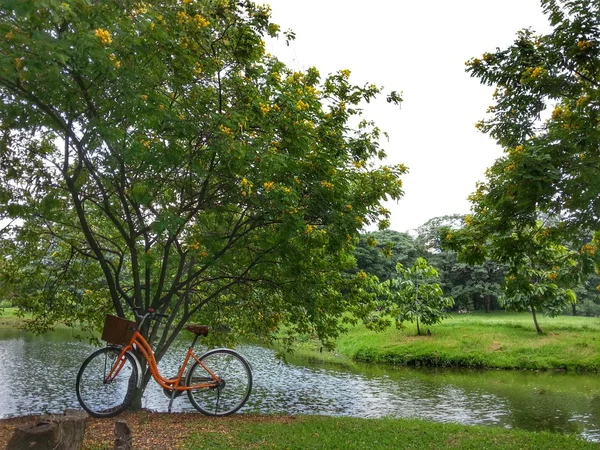 Bicicletta in parco H.D.R. . — Foto Stock