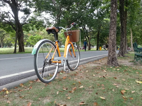 公園で自転車 — ストック写真