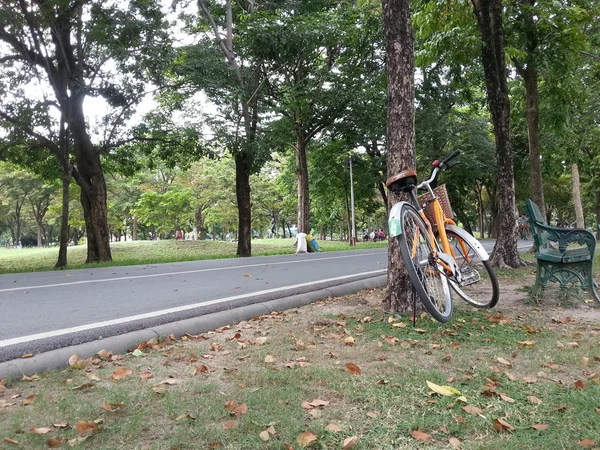 Bicicletta in parco — Foto Stock