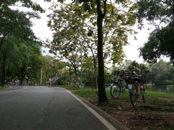 Sepeda di taman — Stok Foto