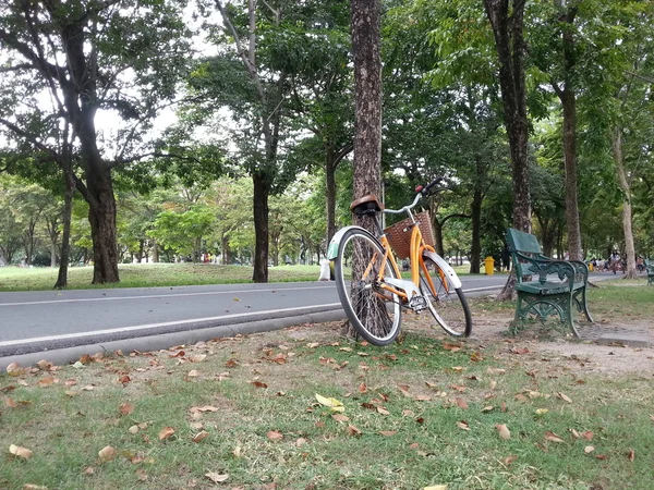 Sepeda di taman — Stok Foto