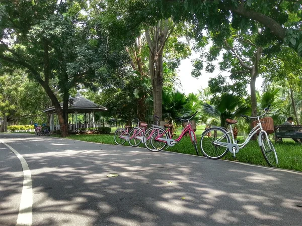 Kerékpárral a park H.D.R. — Stock Fotó
