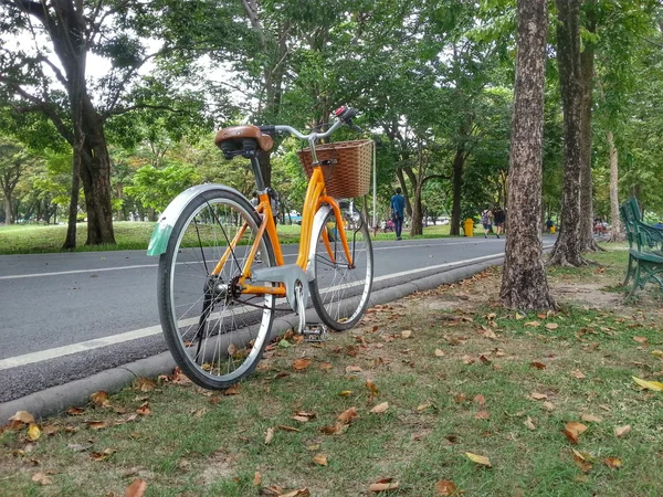 Fahrrad im Park h.d.r. — Stockfoto