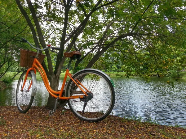 Fahrrad im Park h.d.r. — Stockfoto