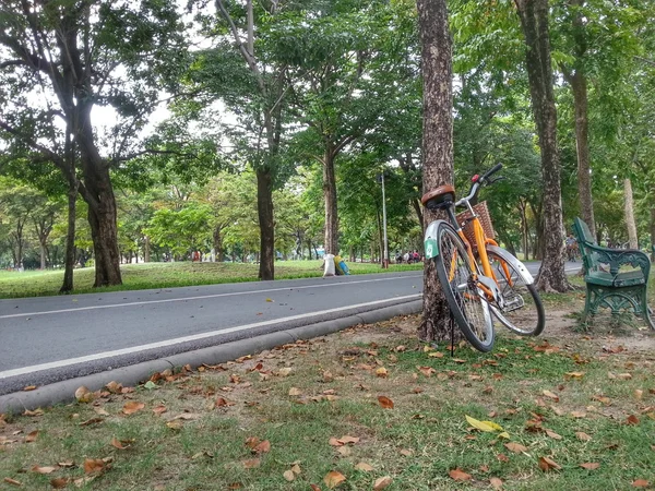 公園 H.D.R 自転車. — ストック写真