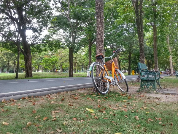 自行车在公园 H.D.R. — 图库照片