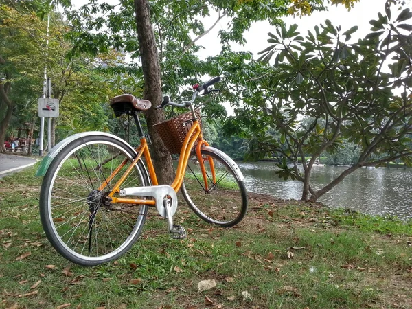 Vélo dans le parc H.D.R . — Photo