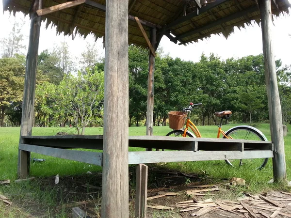 Cykel i park — Stockfoto