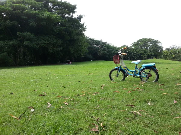 Bicicleta no parque — Fotografia de Stock