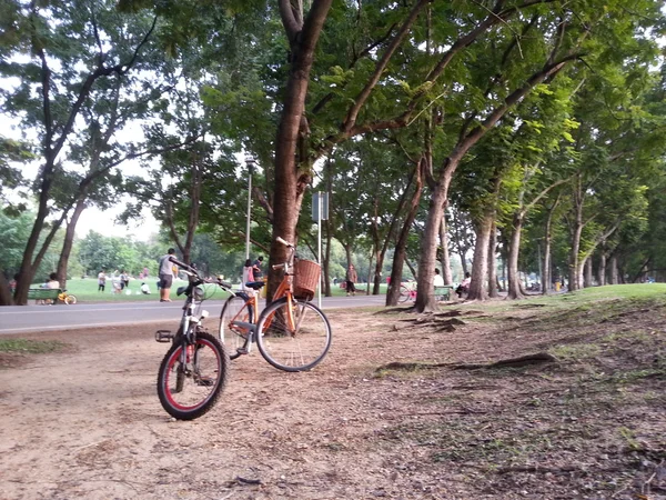 Bicicleta en el parque —  Fotos de Stock