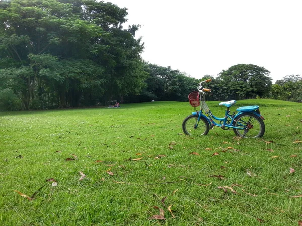 自行车在公园 H.D.R. — 图库照片