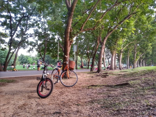 公園 H.D.R 自転車. — ストック写真