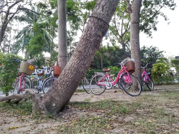 Fahrrad im Park h.d.r. — Stockfoto