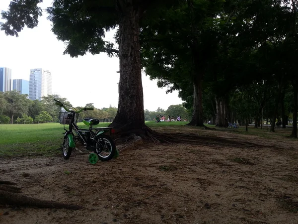 Bicicleta no parque — Fotografia de Stock