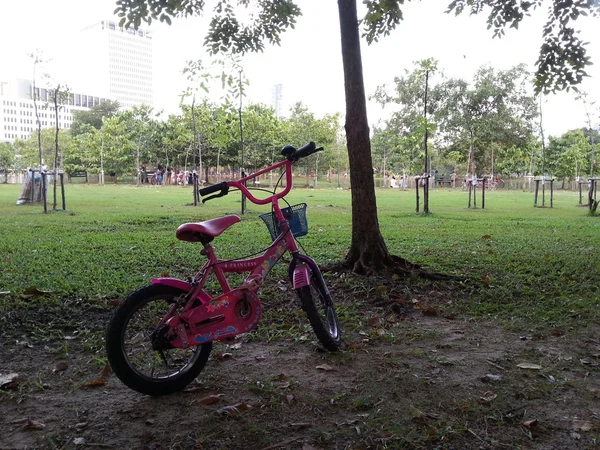 Bicicleta no parque — Fotografia de Stock