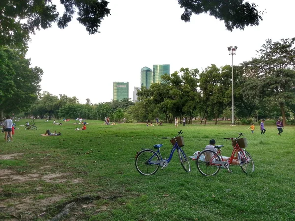 Bicicleta en el parque H.D.R. . —  Fotos de Stock