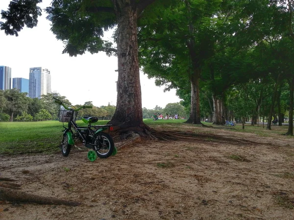 Bicicleta no parque H.D.R . — Fotografia de Stock
