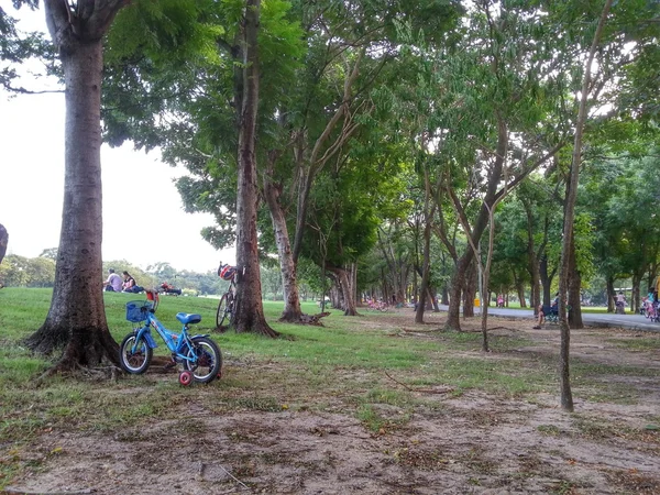 Ποδήλατο στο πάρκο H.D.R. — Φωτογραφία Αρχείου
