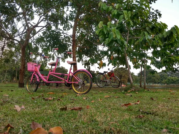 Fiets in park H.D.R. — Stockfoto