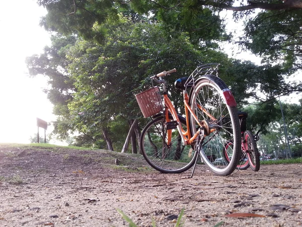 Fahrrad im Park — Stockfoto