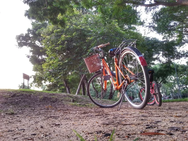 Biciclete în parc H.D.R . — Fotografie, imagine de stoc