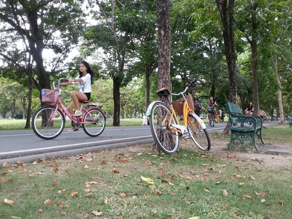 Bicicletta in parco — Foto Stock