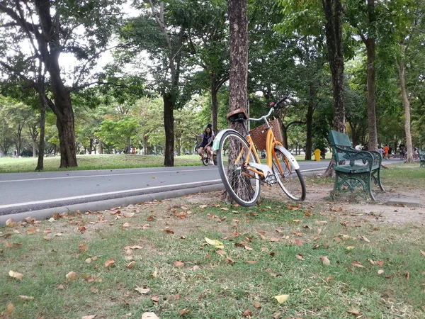 Vélo dans le parc — Photo
