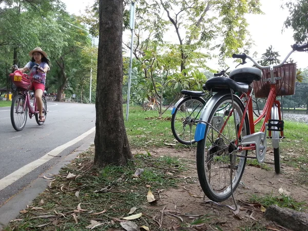 公園で自転車 — ストック写真