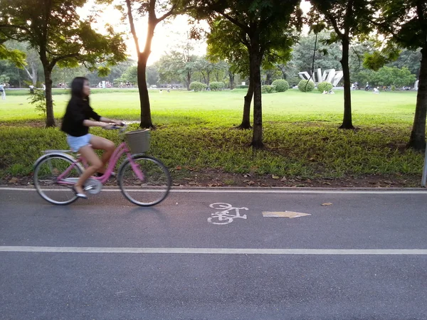 Велосипеді в парку — стокове фото