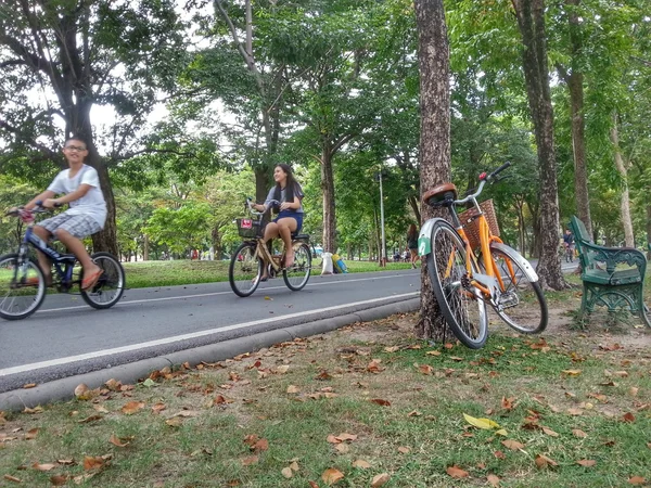 Bicicleta no parque H.D.R . — Fotografia de Stock