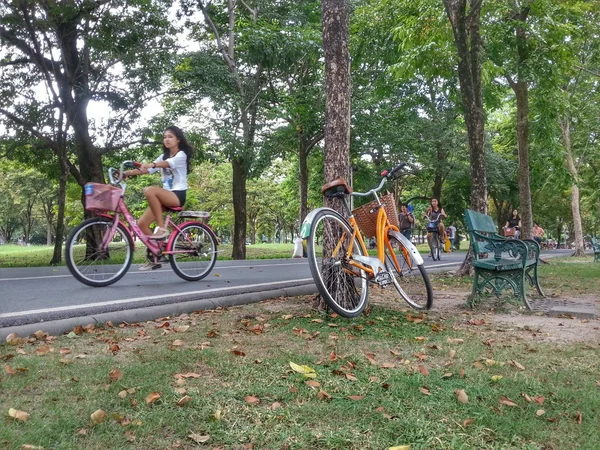 Bicicleta no parque H.D.R . — Fotografia de Stock